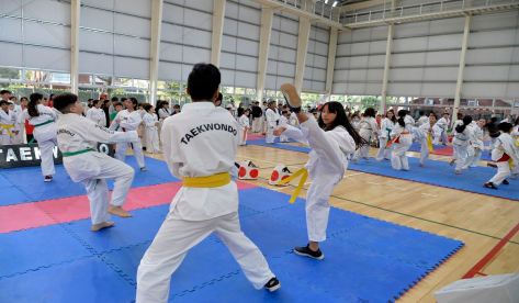 300 jóvenes participaron de una clase abierta de la Escuela Municipal de Taekwondo de Tigre